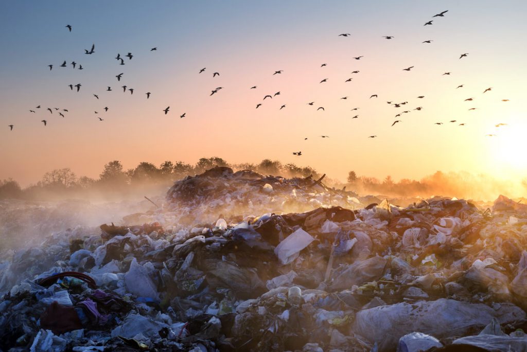landfill_pic.jpeg