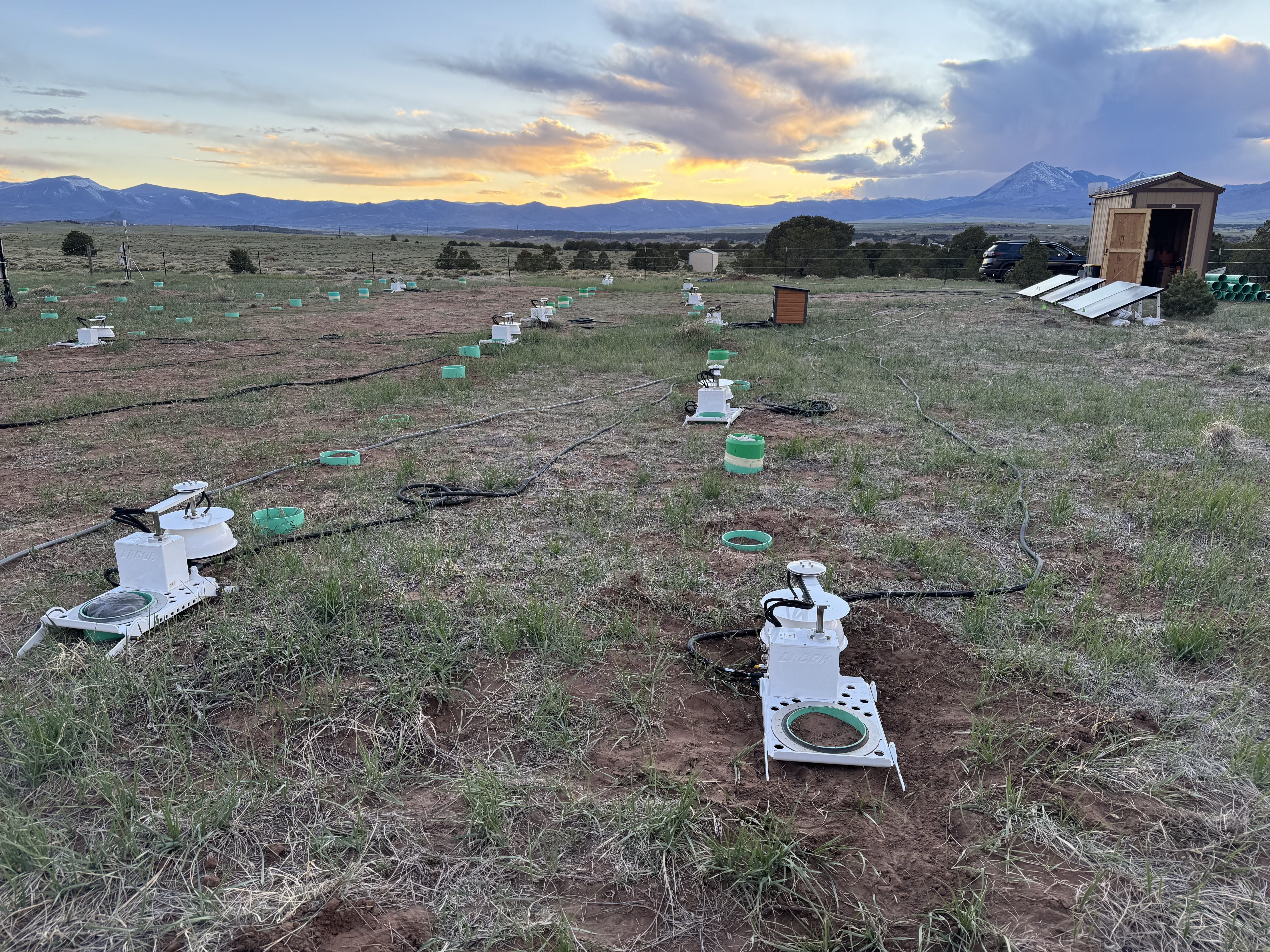 View of experimental designed to quantify role of feedstock form, burial depth, packing strategy, and disturbance on decomposition